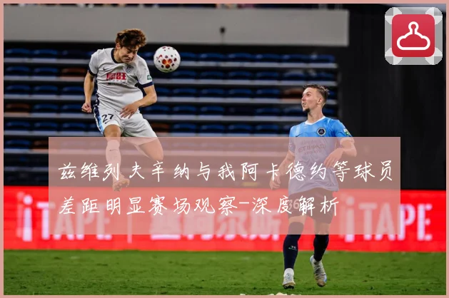 兹维列夫辛纳与我阿卡德约等球员差距明显赛场观察-深度解析