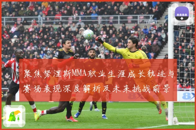 聚焦努涅斯MMA职业生涯成长轨迹与赛场表现深度解析及未来挑战前景展望解析-深度解析